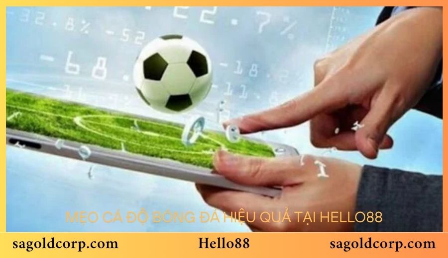 Mẹo cá độ bóng đá hiệu quả tại Hello88