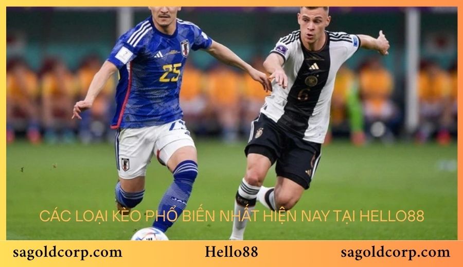 Các loại kèo phổ biến nhất hiện nay tại Hello88