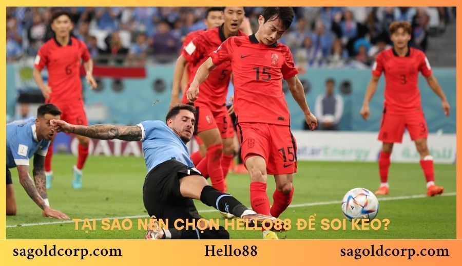 Tại sao nên chọn Hello88 để soi kèo?